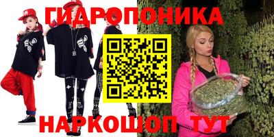 крисы Новозыбков