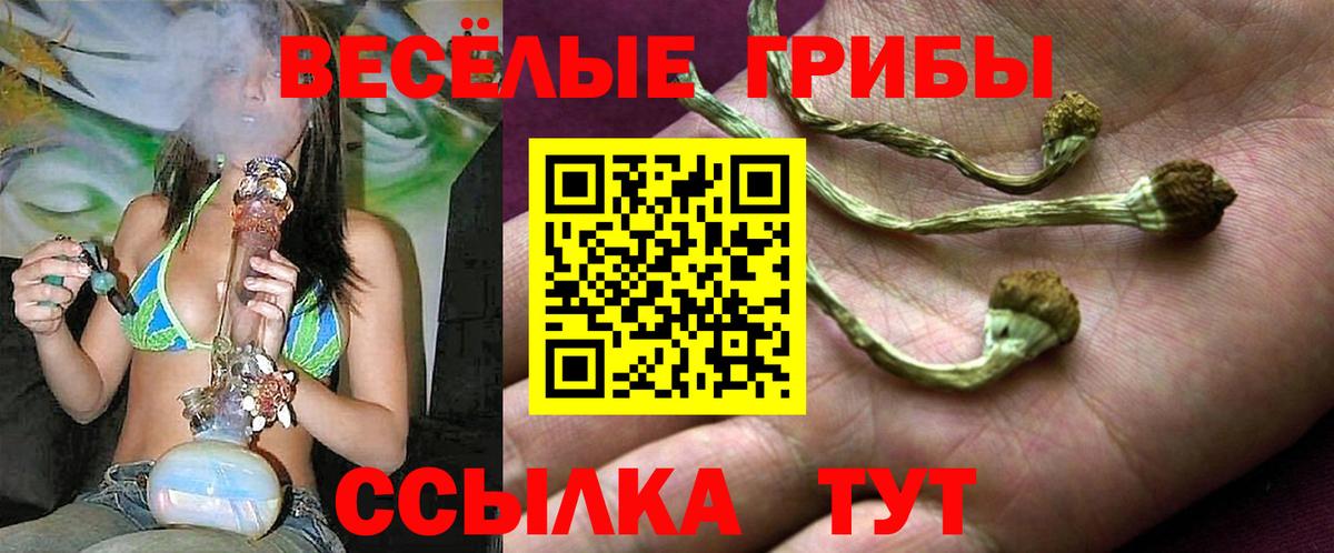 Дмитров  Псилоцибиновые грибы GOLDEN TEACHER  Вход с VPN  Псилоцибиновые грибы Magic Shrooms 